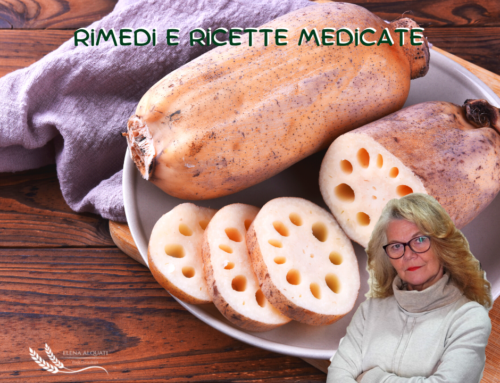 Crema di riso integrale con radici di loto