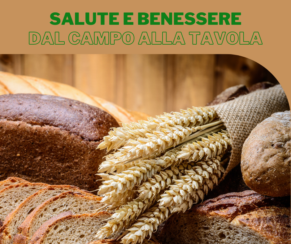 dal grano al pane