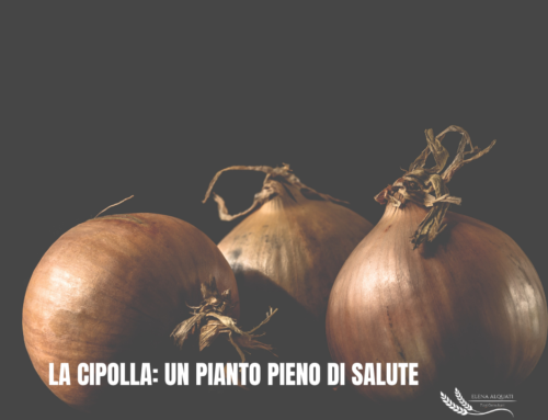 La cipolla: un pianto pieno di salute