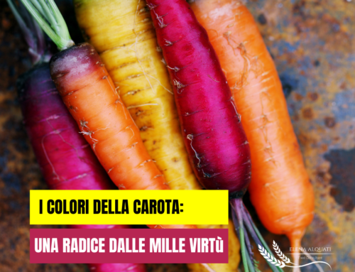 I colori della carota: una radice dalle mille virtù
