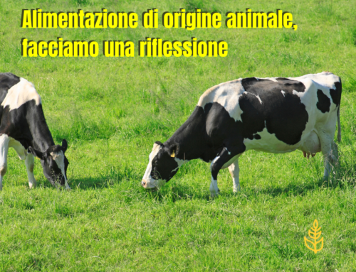 Alimentazione di origine animale: riflessione