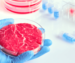 carne sintetica