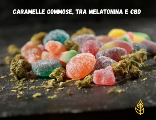 Caramelle gommose, tra melatonina e CBD