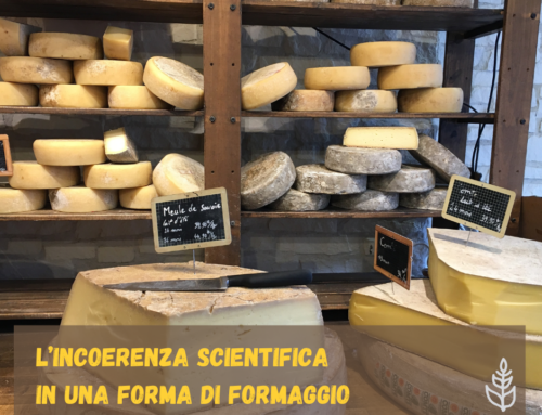 L’incoerenza scientifica in una forma di formaggio