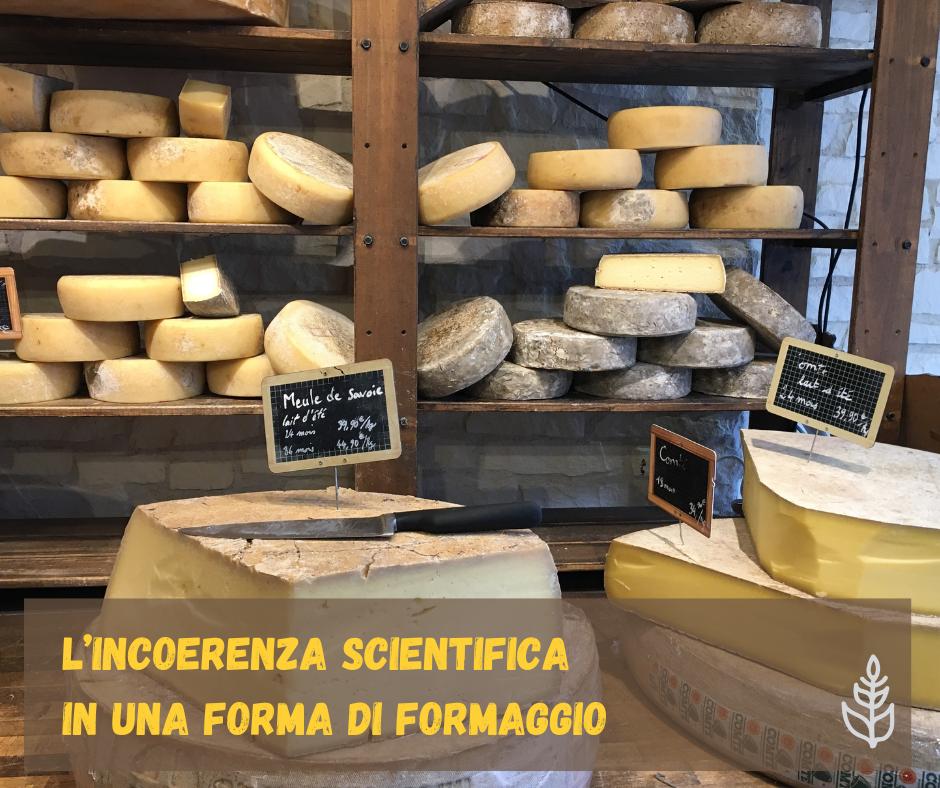 Incoerenza scientifica nel formaggio