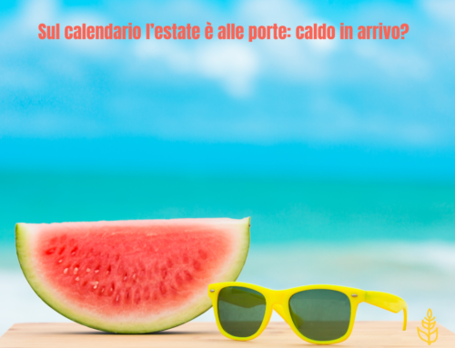 Sul calendario l’estate è alle porte: caldo in arrivo?