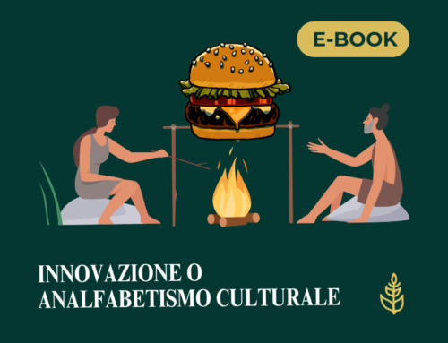 Innovazione o analfabetismo culturale