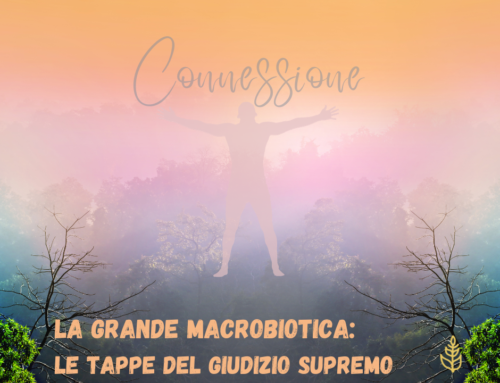La Grande Macrobiotica: Le Tappe del Giudizio