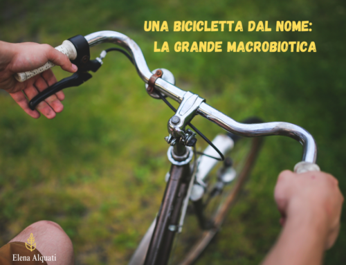 Una bicicletta dal nome: “La Grande Macrobiotica”