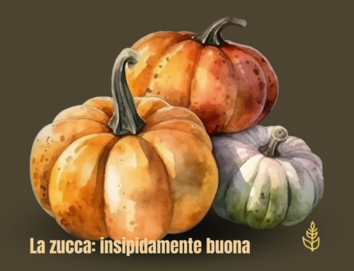La zucca: insipidamente buona