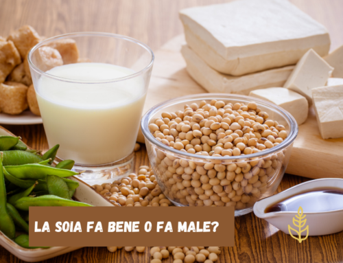 La soia fa bene o fa male?