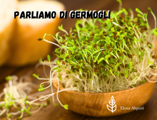 Parliamo di germogli