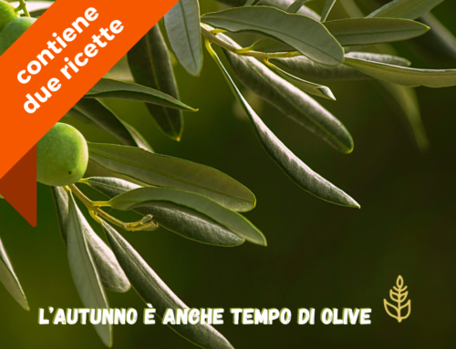 Protetto: L’autunno è anche tempo di olive