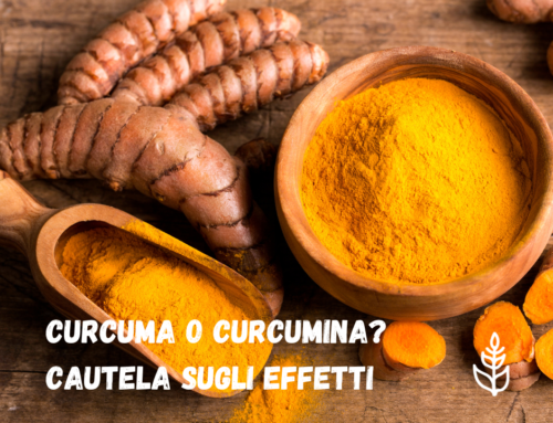 Curcuma o curcumina? Cautela sugli effetti