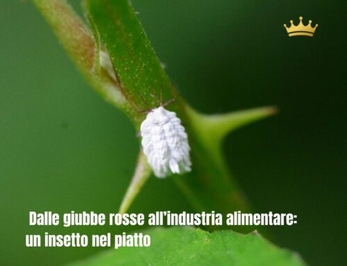  Dalle giubbe rosse all’industria alimentare: un insetto nel piatto