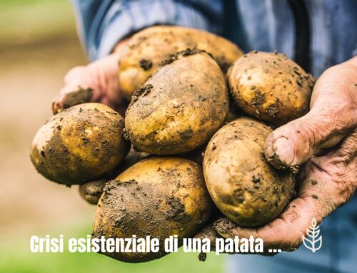 Crisi esistenziale di una patata …