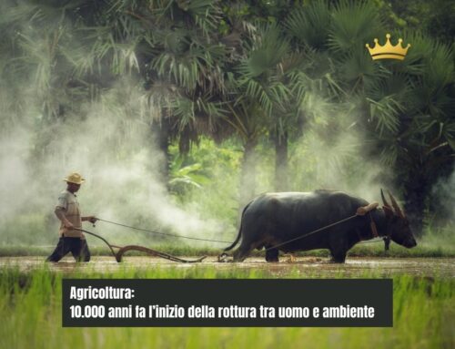 Agricoltura: 10.000 anni fa l’inizio della rottura tra uomo e ambiente