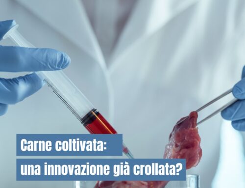 Carne coltivata: un’ innovazione già crollata?