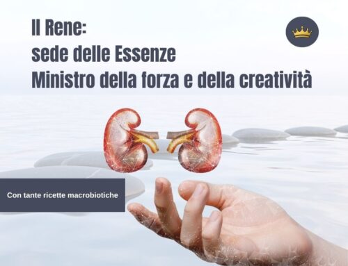 Il Rene: sede delle Essenze, Ministro della forza e della creatività