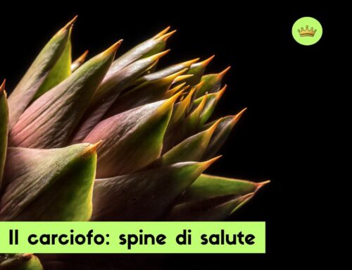 Il carciofo: spine di salute