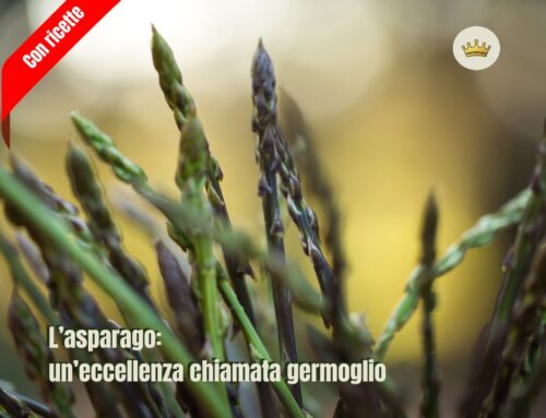L’asparago: un’eccellenza chiamata germoglio.