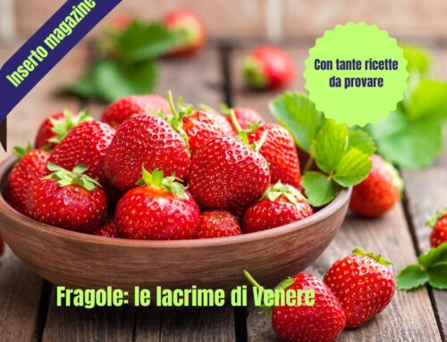 Le Fragole inserto Le Vettovaglie Marzo 2025