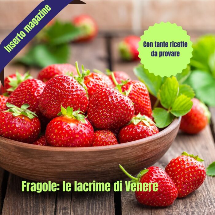 Le Fragole - Inserto magazine Le Vettovaglie Magazine