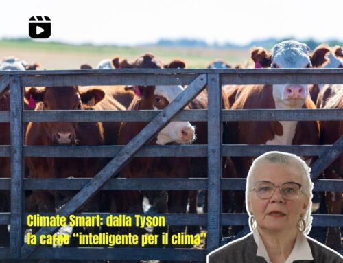Climate Smart: dalla Tyson la carne “intelligente per il clima” – video