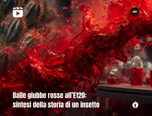 Dalle giubbe rosse all’E120:  sintesi della storia di un insetto