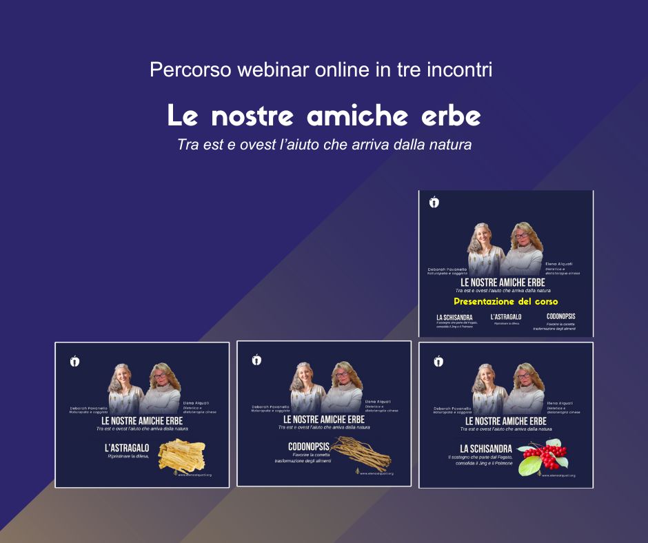 Raccolta incontri "Le nostre amiche erbe"