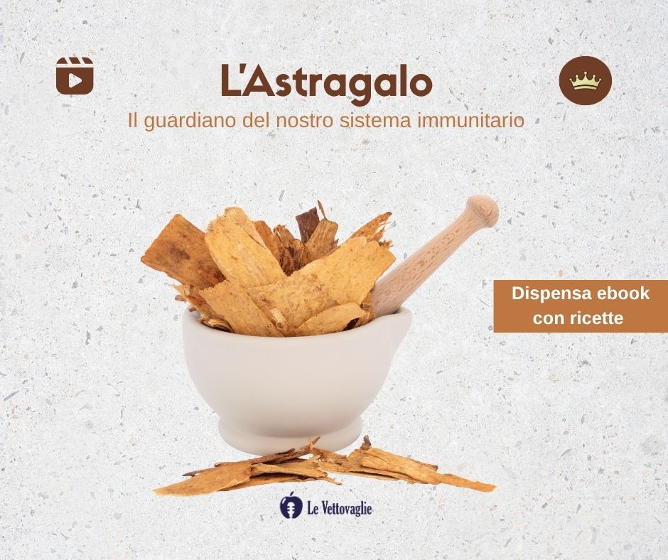 Astragalo in un mortaio