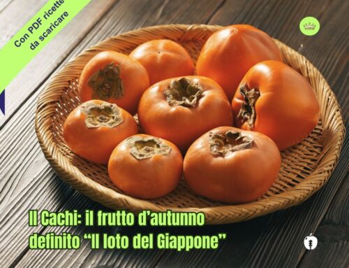 Il Cachi:  il frutto d’autunno definito “Il loto del Giappone”